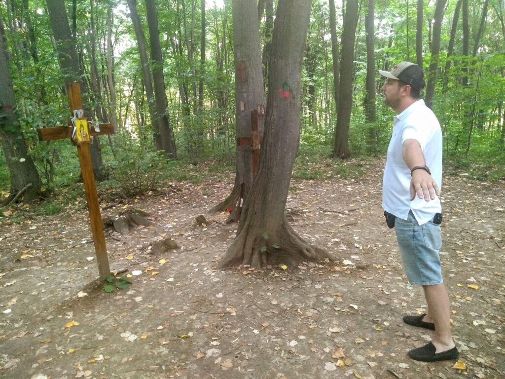 Šumski selfness – prirodni terapeutski krugovi Fruške Gore