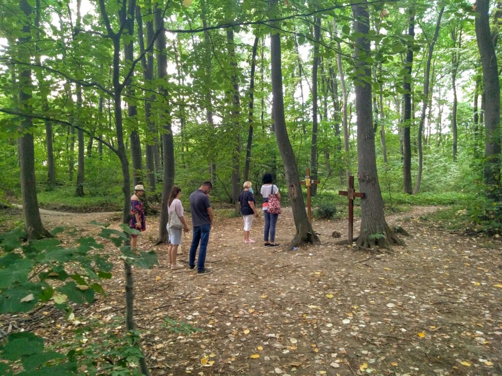 Sofijini Izvori – energetski krugovi u šumi kod Ležimira