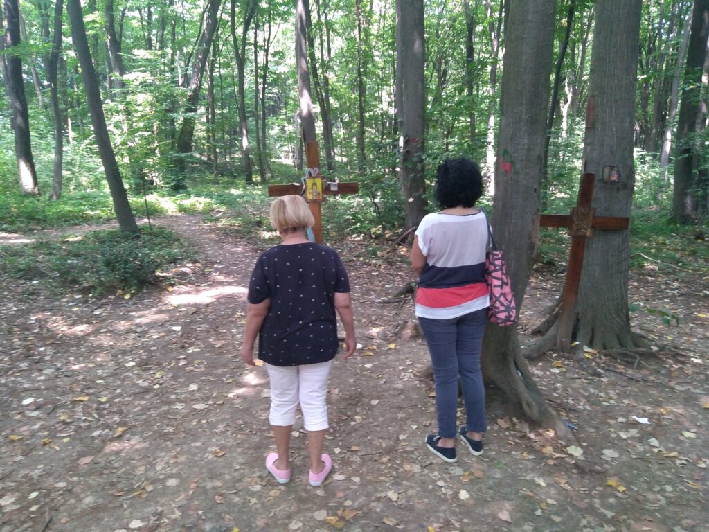 Magnetno polje na Fruškoj Gori – Sofijini krugovi