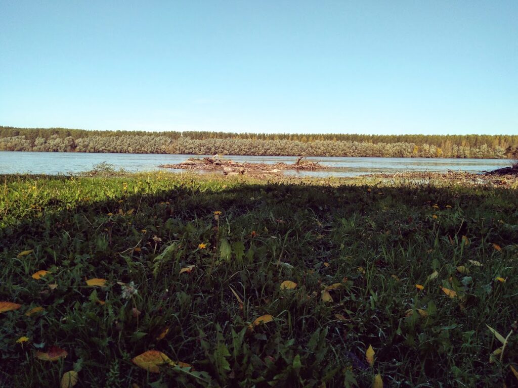 Pogled na Dunav iz Banoštora