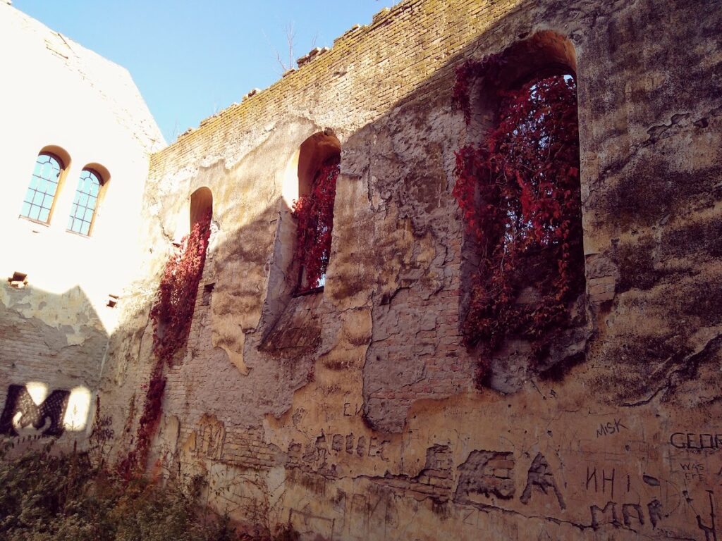 Zidovi crkve Svetog Rudolfa