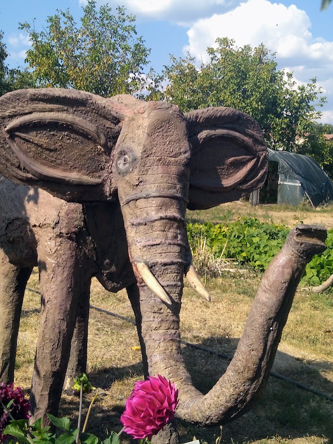 Slon u Zoološkom vrtu Sikole