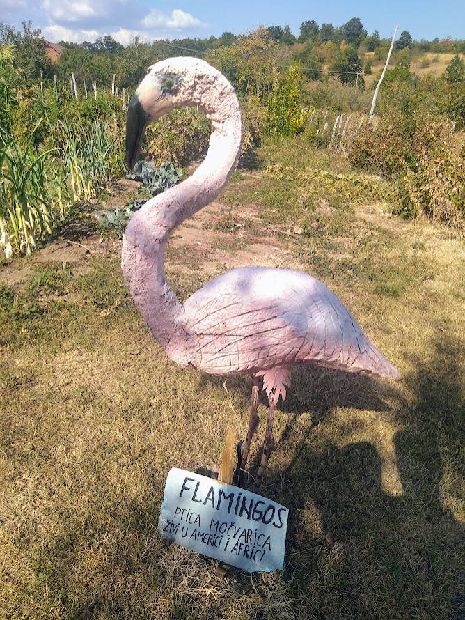 Drveni flamingosi u Zoološkom vrtu Sikole