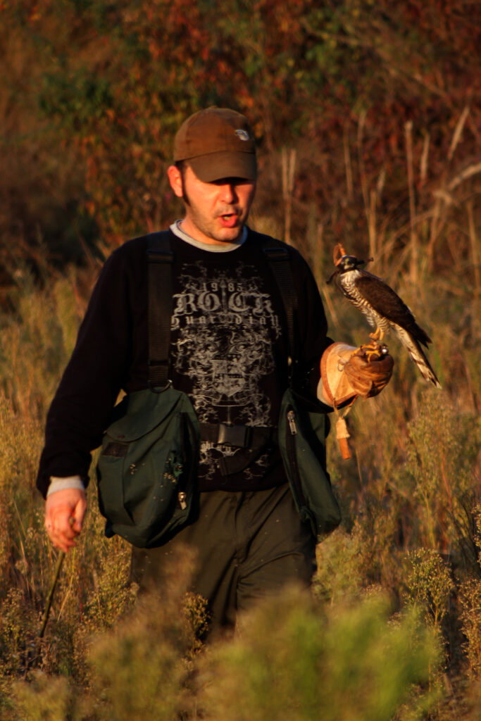 Milan Vučković sa kobcem, pticom grabljivicom koju koristi u sokolarstvu