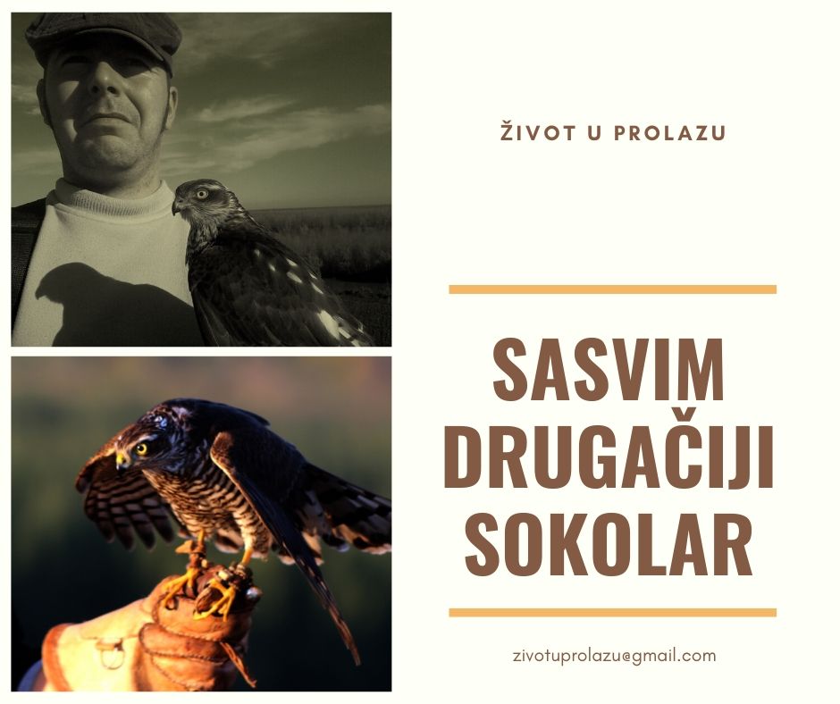 plakat „Sasvim običan sokolar“ – Milan Vučković iz Titela