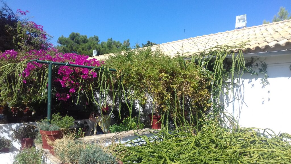 Manastir iznad Paleokastrice na Krfu, tišina brda i šum mora u daljini, sunce koje obasjava zvonik i bele zidove u zlatnoj svetlosti zalaska.