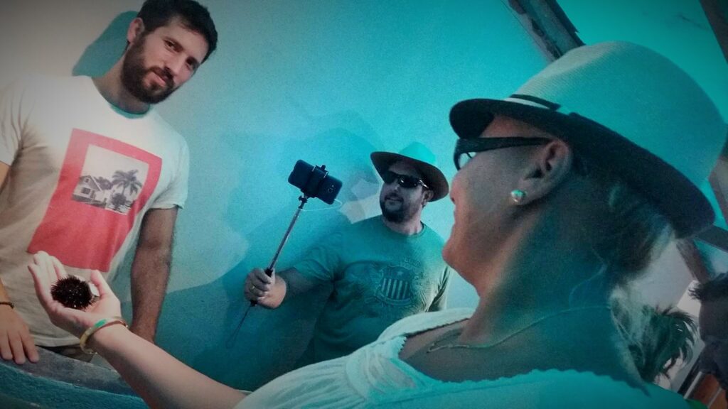 Akvarijum Paleokastrice: Akvarijum u Paleokastrici sa šarenim ribama i morskim zvezdama